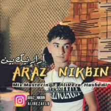 آهنگ جدید آراز نیک بین به نام مادر